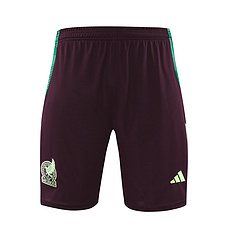 2024-25 Mexico training vest