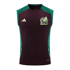 2024-25 Mexico training vest jersey
