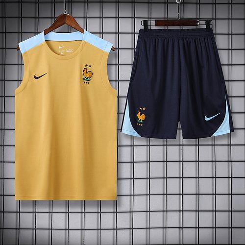 2024-25 France training vest