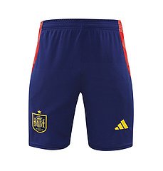 2024-25 Spain training vest jersey