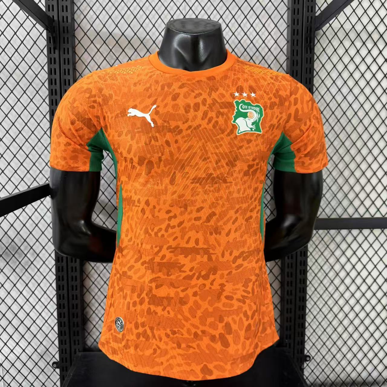 2026-27 Ivory Coast Home Jersey – Player Version
