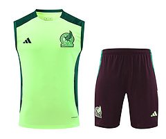 2024-25 Mexico training vest