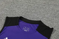 2024-25 Germany training vest jersey