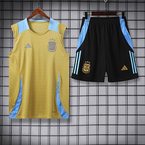 2024-25 Argentina training vest