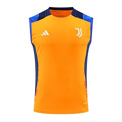 2024-25 Juventus training vest jersey