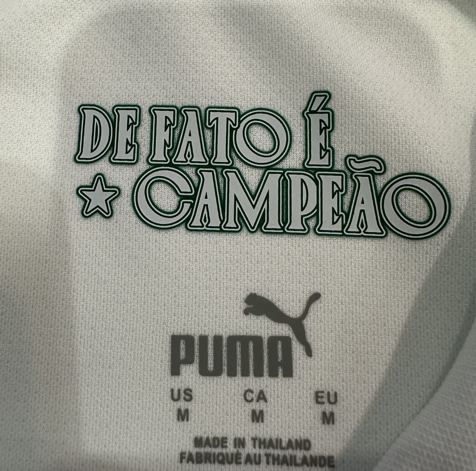 2025-26 Palmeiras Away Jersey – Player Version
