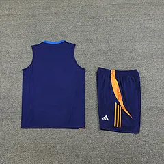 2024-25 Juventus training vest jersey