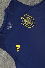2024-25 Spain training vest jersey