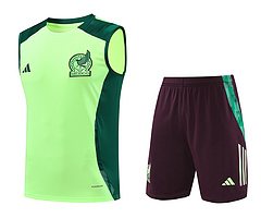 2024-25 Mexico training vest