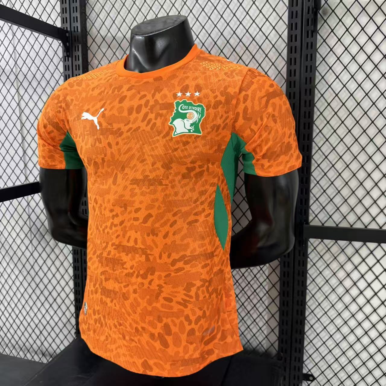2026-27 Ivory Coast Home Jersey – Player Version