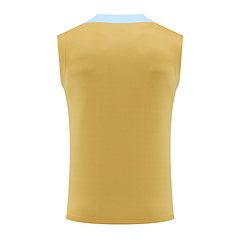 2024-25 France training vest