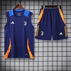 2024-25 Juventus training vest jersey