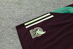 2024-25 Mexico training vest