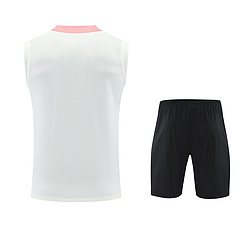 2025-26 Paris Saint-Germain training vest jersey