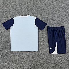 2025-26 Tottenham Hotspur grey short-sleeved training jersey