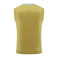 2024-25 Argentina training vest