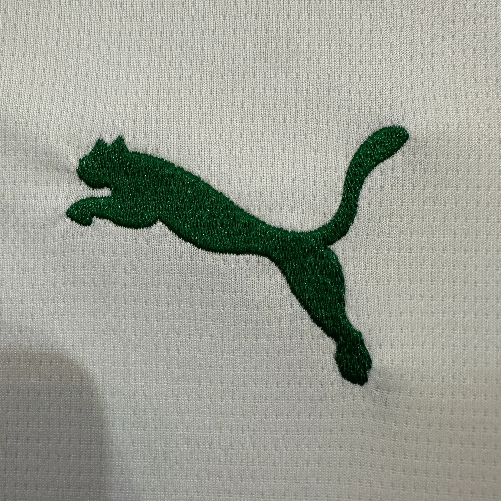 2026-27 Palmeiras Away Jersey – Fan Version