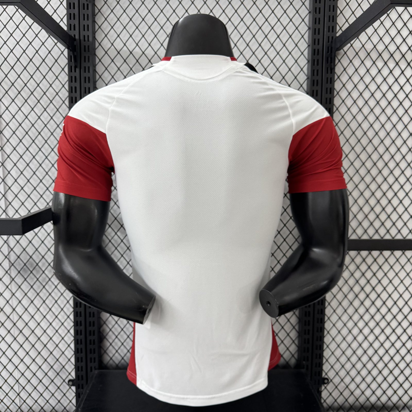 2026 Germany National Team Training Jersey – Player Version
