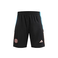 2025-26 Bayern Munich training vest jersey