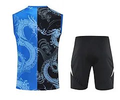 2025-26 Real Madrid Training Vest Jersey