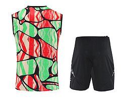 2025-26 Arsenal training vest jersey