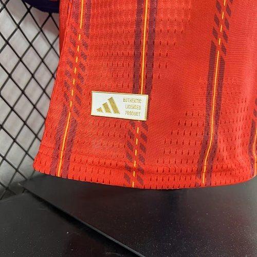 2026 Spanish national team long-sleeved jersey - player version