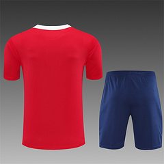 2025-26 Paris Saint-Germain Red Short-Sleeve Training Jersey