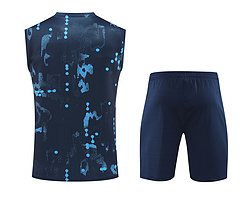 2024-25 Chelsea training shirt