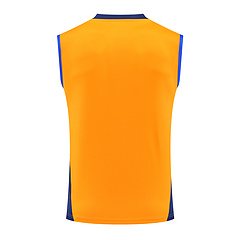 2024-25 Juventus training vest jersey