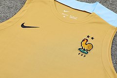 2024-25 France training vest