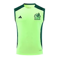 2024-25 Mexico training vest
