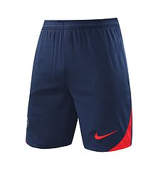 2024-25 Paris Saint-Germain training shirt