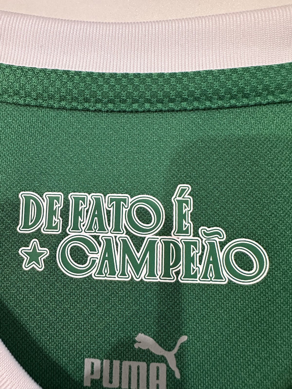 2025-26 Palmeiras Home Jersey – Player Version