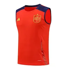 2024-25 Spain training vest jersey