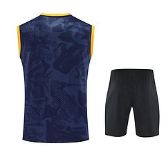 2025-26 Inter Milan Training Vest Jersey