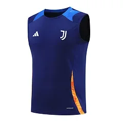 2024-25 Juventus training vest jersey