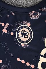 2025-26 Chelsea training vest jersey