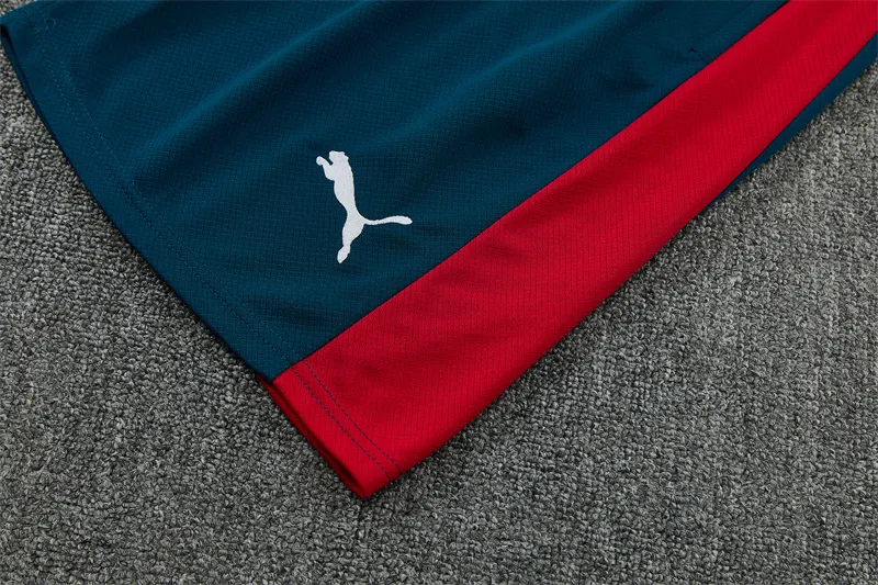 2026-27 Portugal Team Dark Red & Green Short-Sleeve Training Jersey