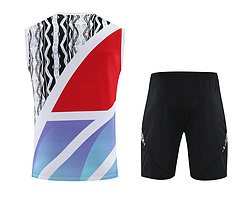 2025-26 Arsenal training vest jersey
