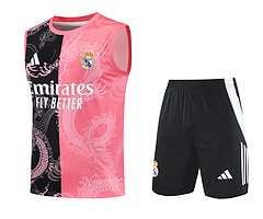 2025-26 Real Madrid Training Vest Jersey