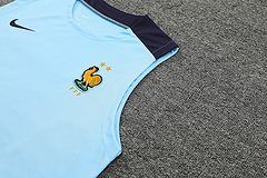 2024-25 France training vest