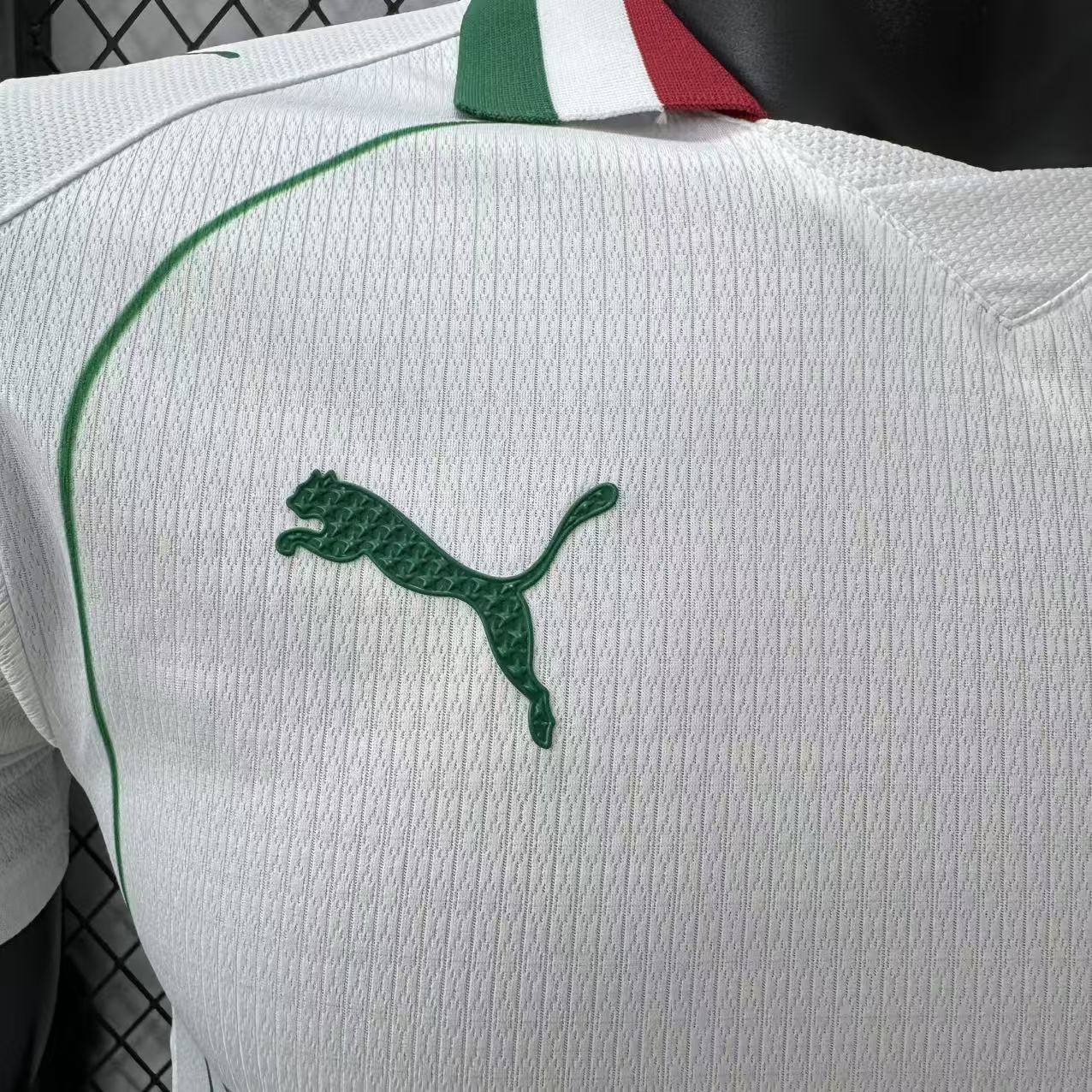 2026-27 Palmeiras Away Kit – Player Version