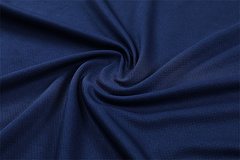 2025-26 Inter Milan Royal Blue Short Sleeve Training Jersey