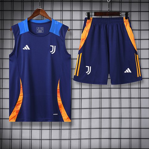 2024-25 Juventus training vest jersey