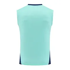 2024-25 Arsenal training vest jersey