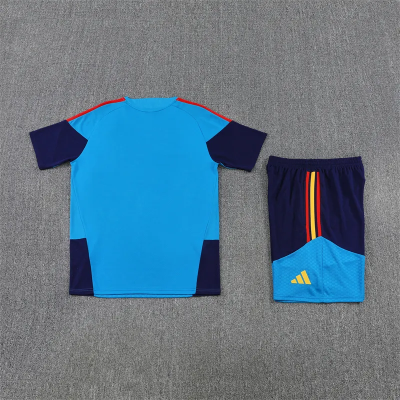 2026-27 Spain Team Lake Blue Short-Sleeve Training Jersey (Two Stars)