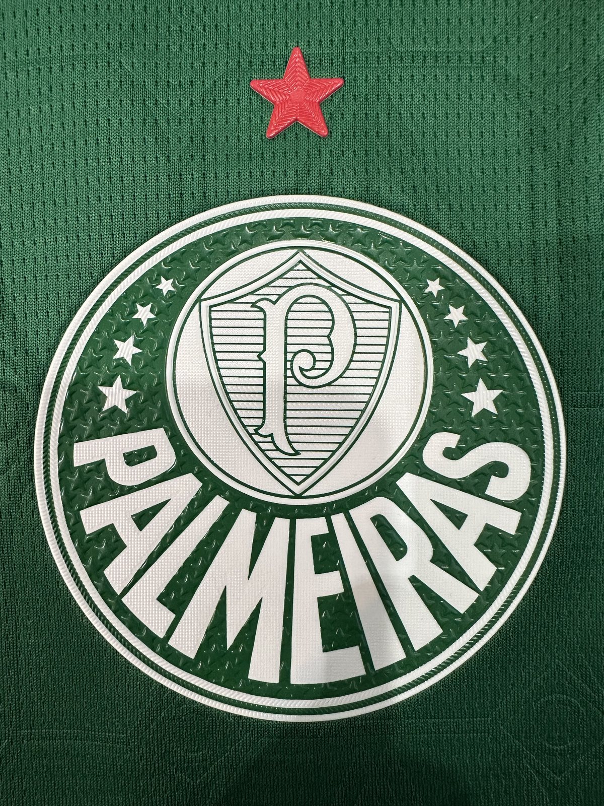 2025-26 Palmeiras Home Jersey – Player Version