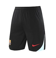 2024-25 Barcelona vest training jersey