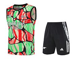2025-26 Arsenal training vest jersey
