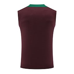 2024-25 Paris Saint-Germain training vest